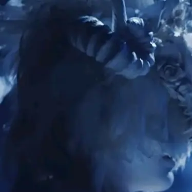 WideDoxle2845의 来  世  で  も  _。