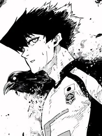 itokan.saeitoshi의 烏の姉