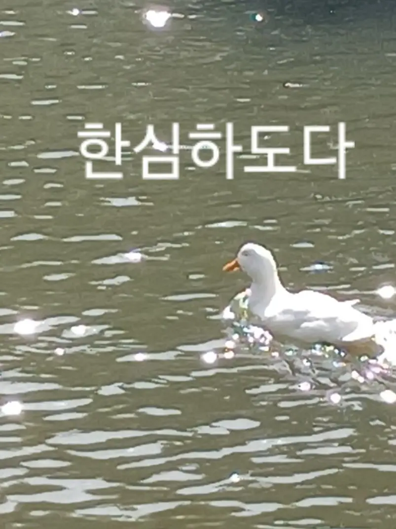 LeftQuest6176의 슼즘고