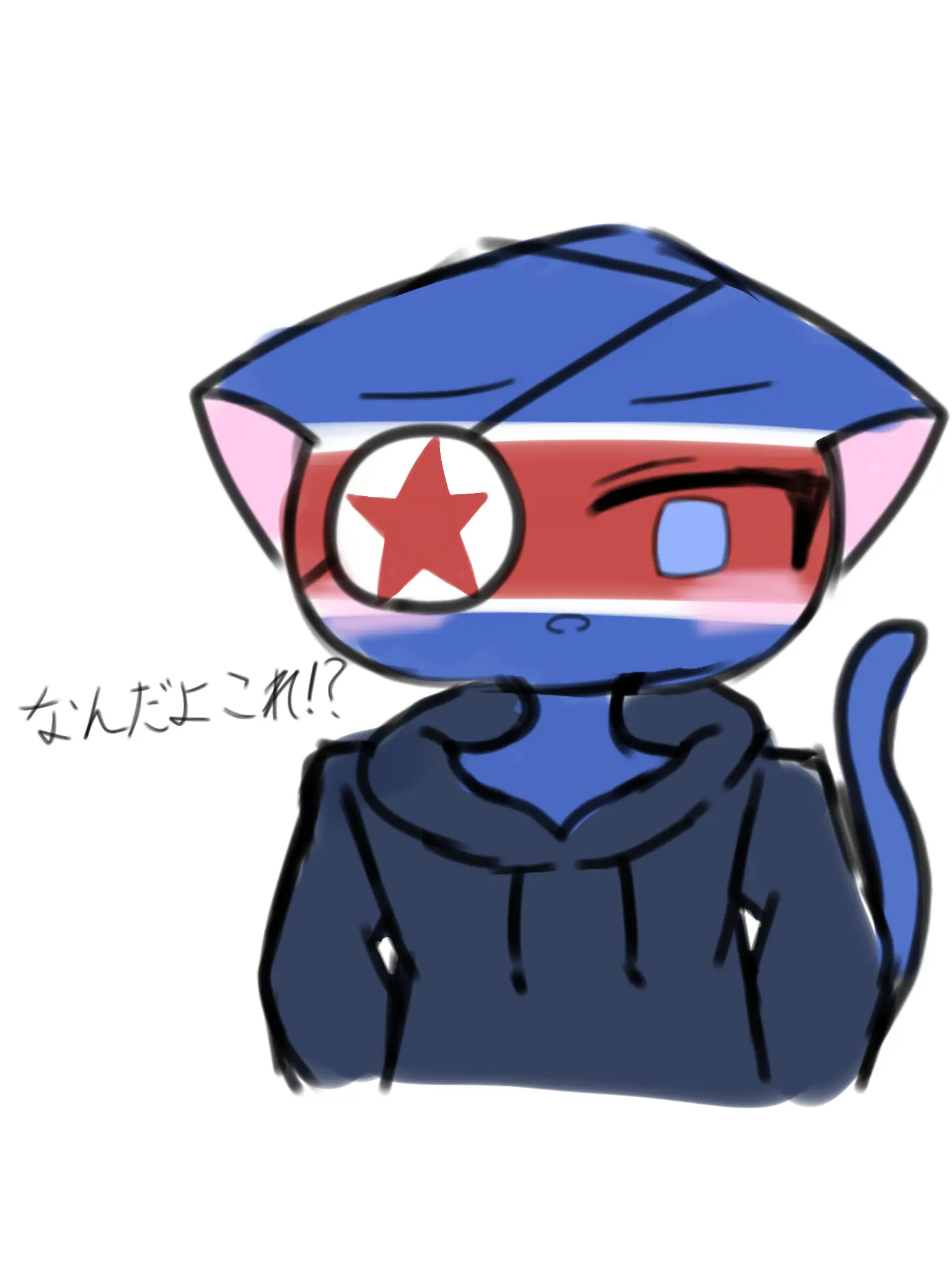 SwiftPain0056의 猫化した北朝鮮！