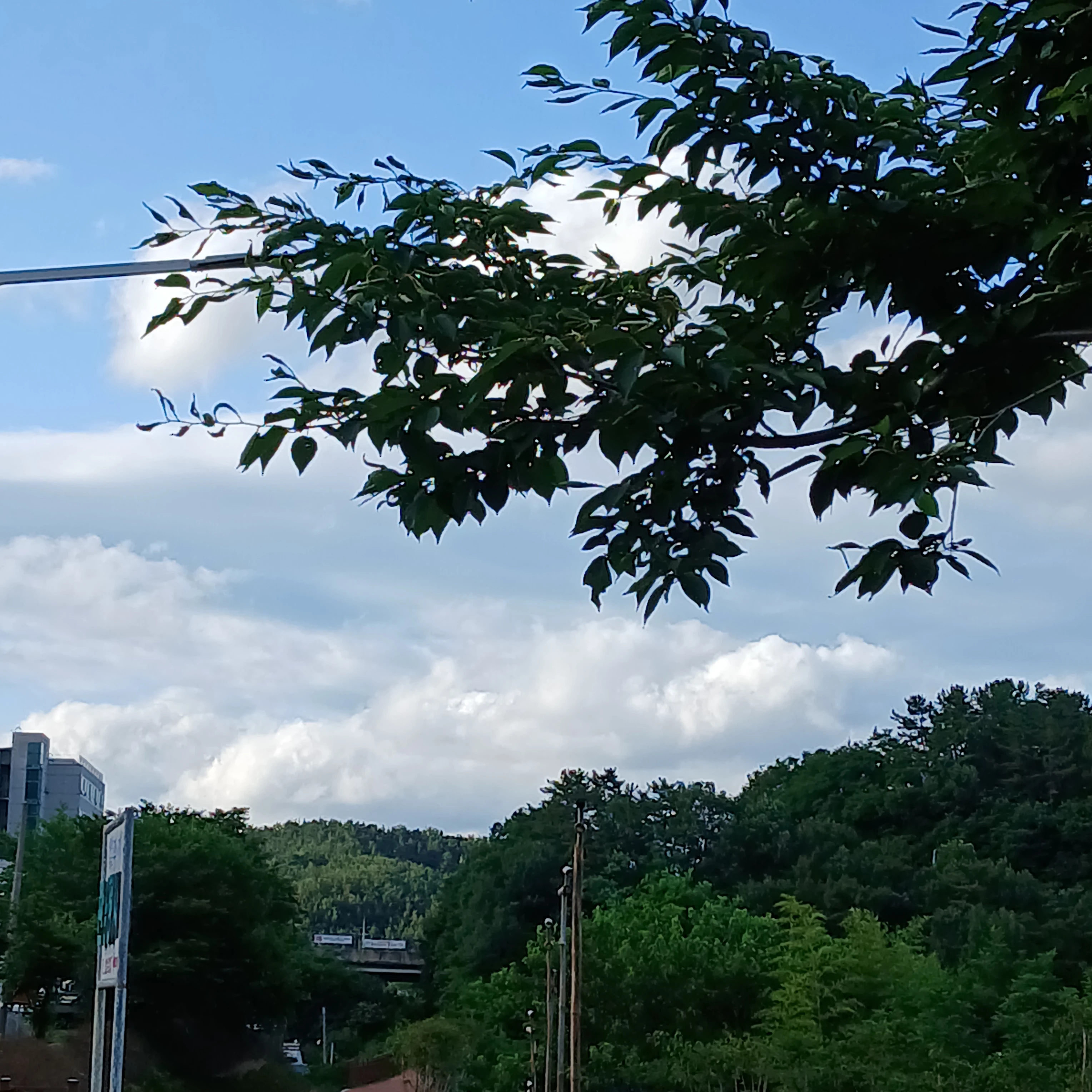 잠입수사 (미수반 1)