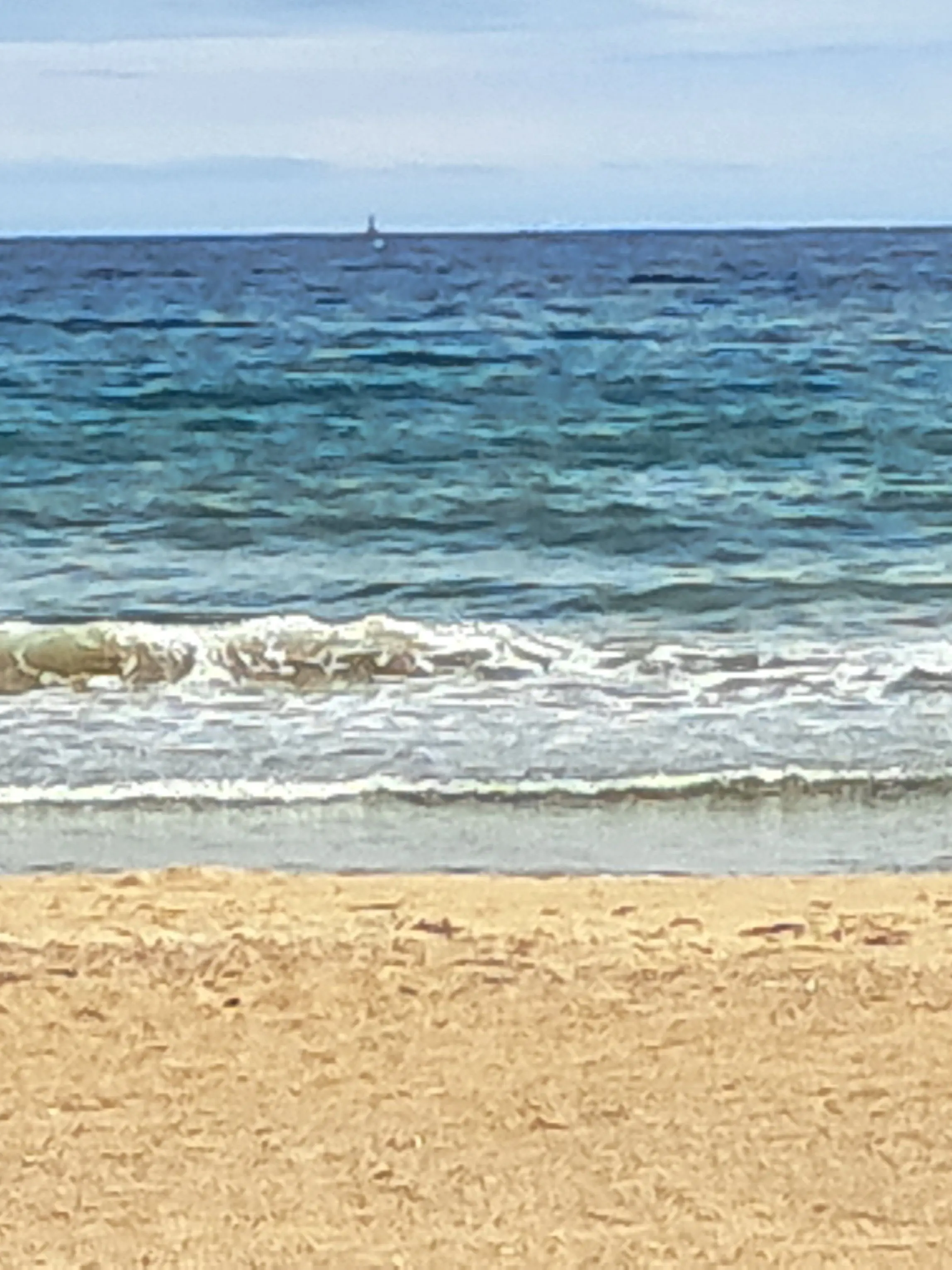 sjskk의 이사를 온 당신! 수상한 이웃맞이?!