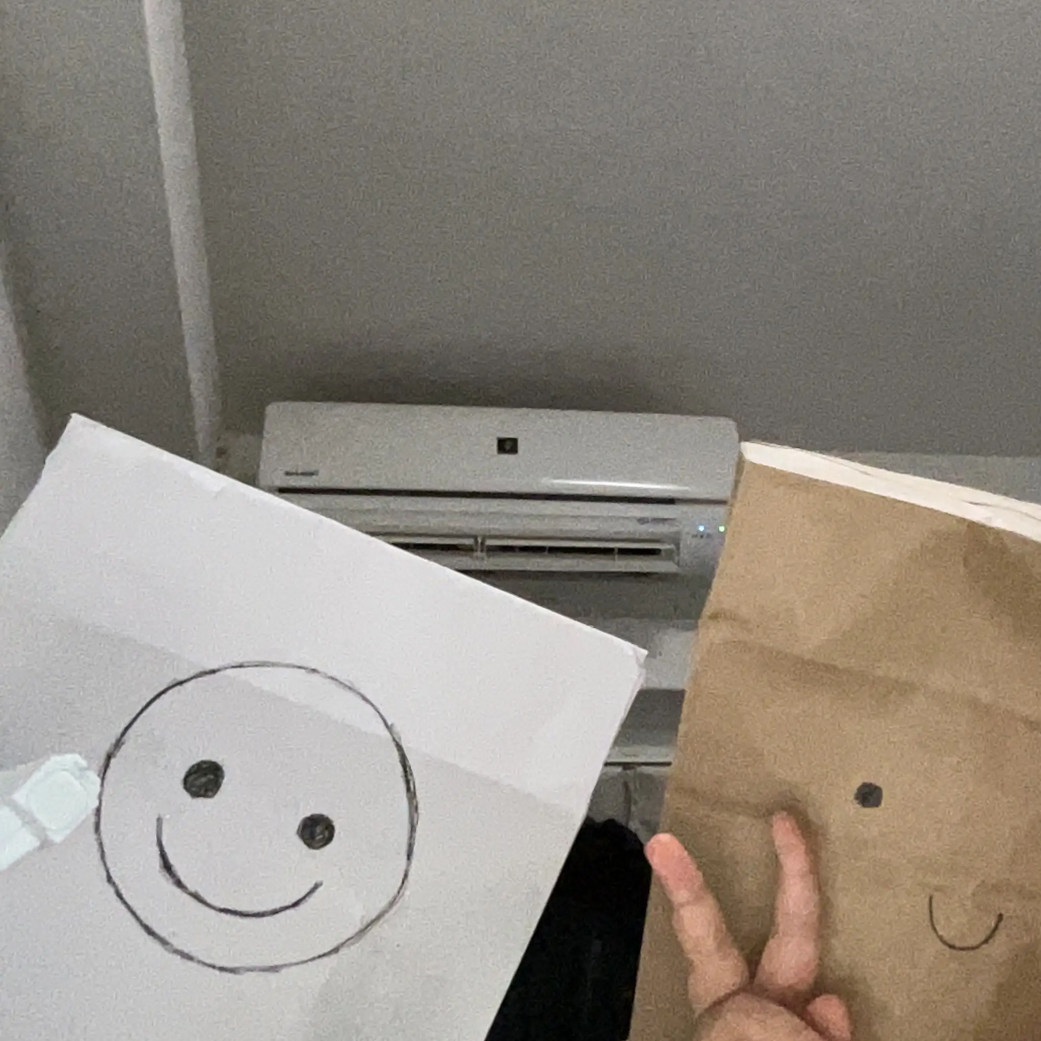RaspyEagle7482의 部屋の奥に潜むダレカ。