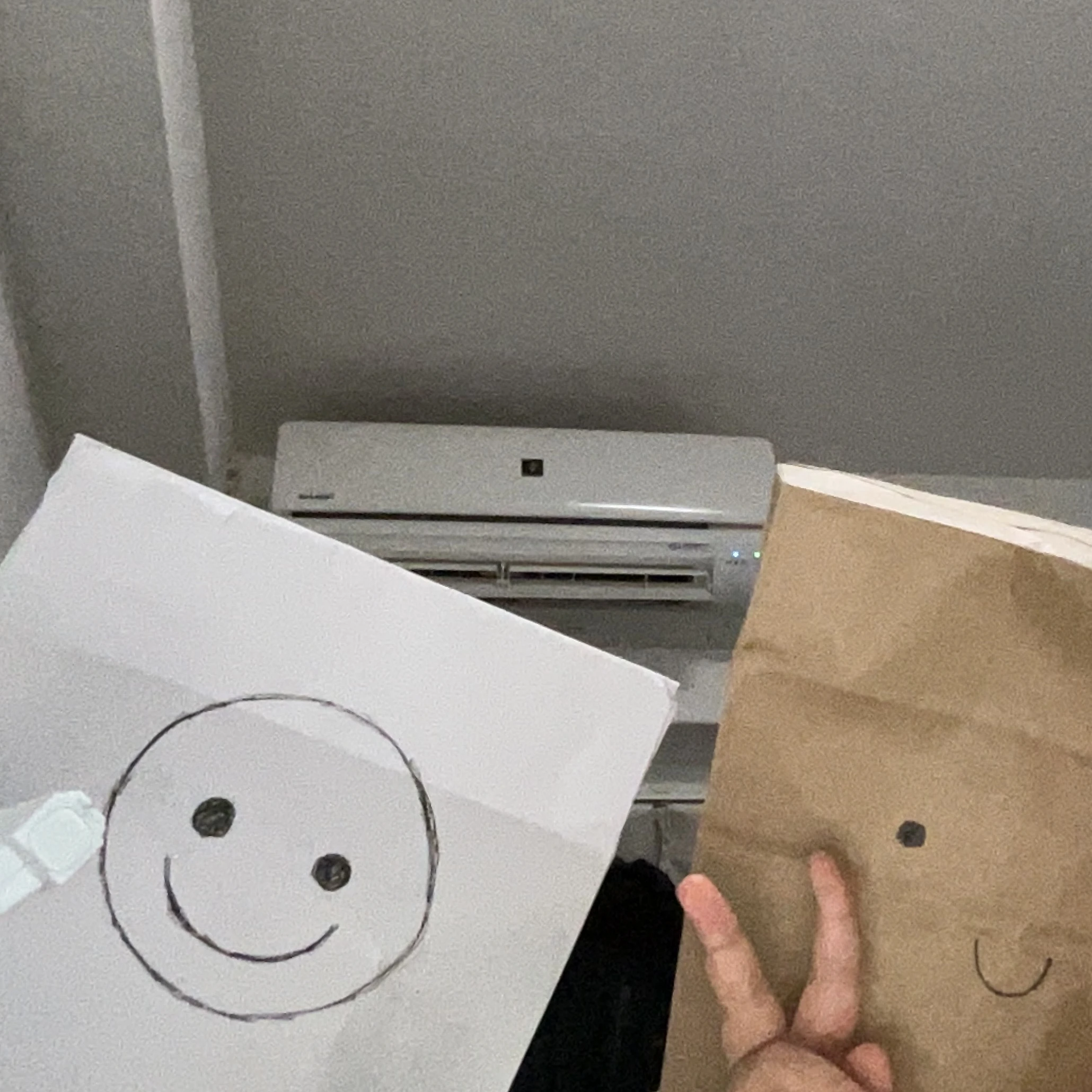 部屋の奥に潜むダレカ。