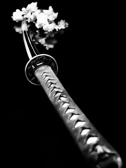 Shrimpy의 The Blade and the Flower