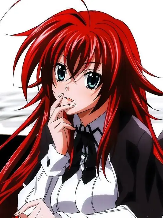 Absoluteincel69의 Rias gremory