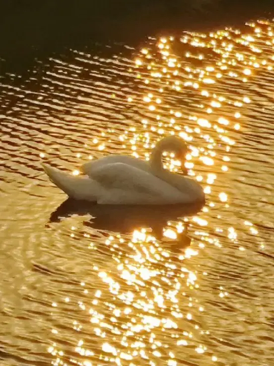 Onlydeliciousthings_의 김각별