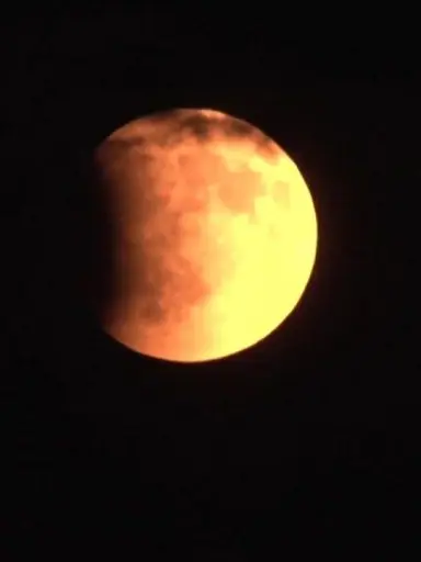 BoldPrice1701의 계기월식-1