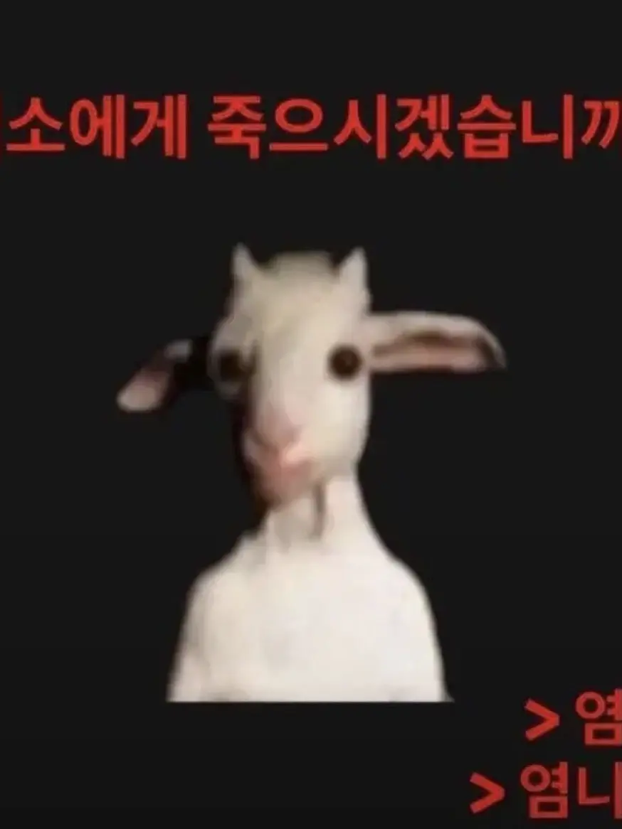 dabibig003의 개인용 하지마세요 자캐임