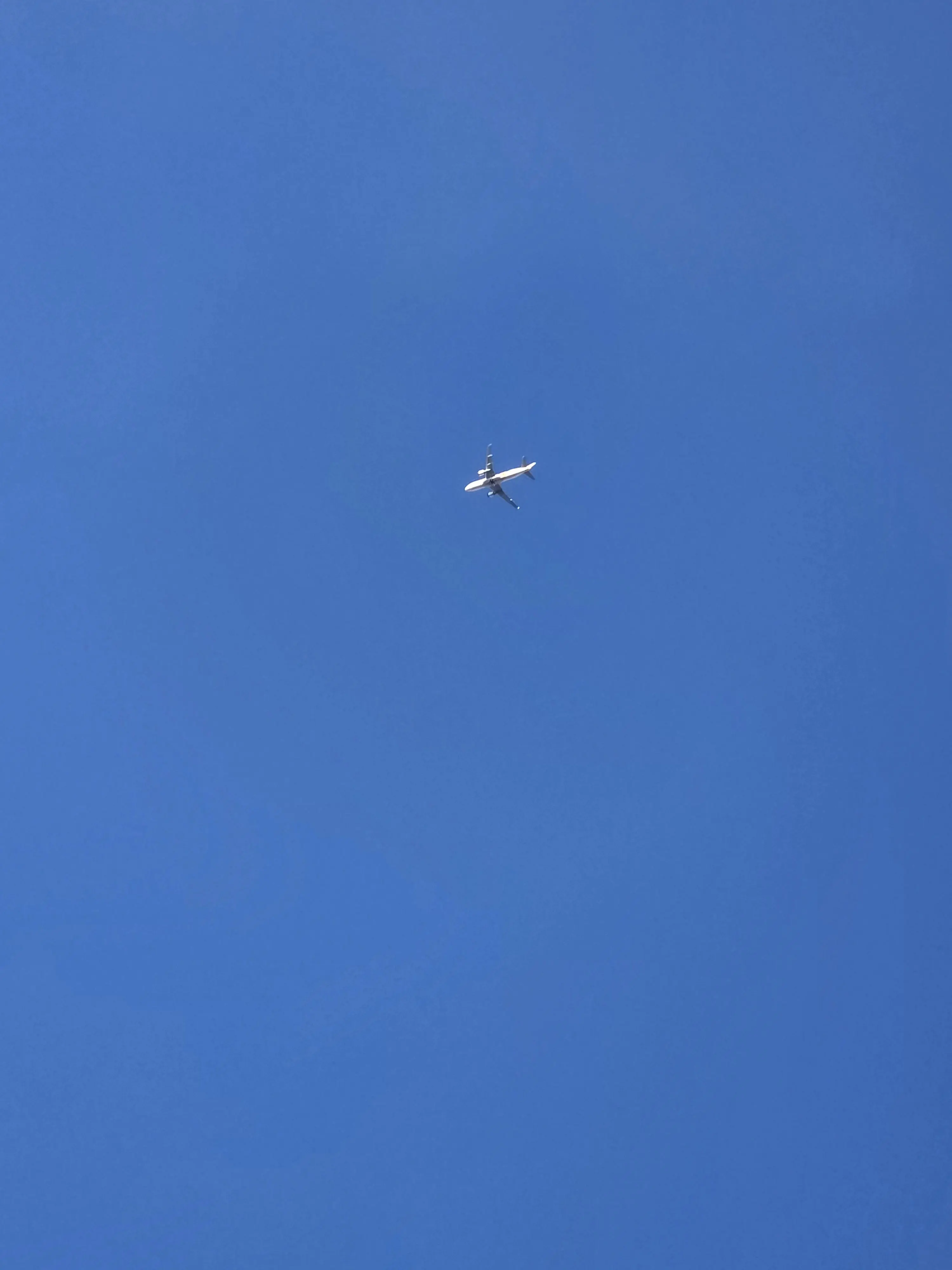 Imhansula의 연&안