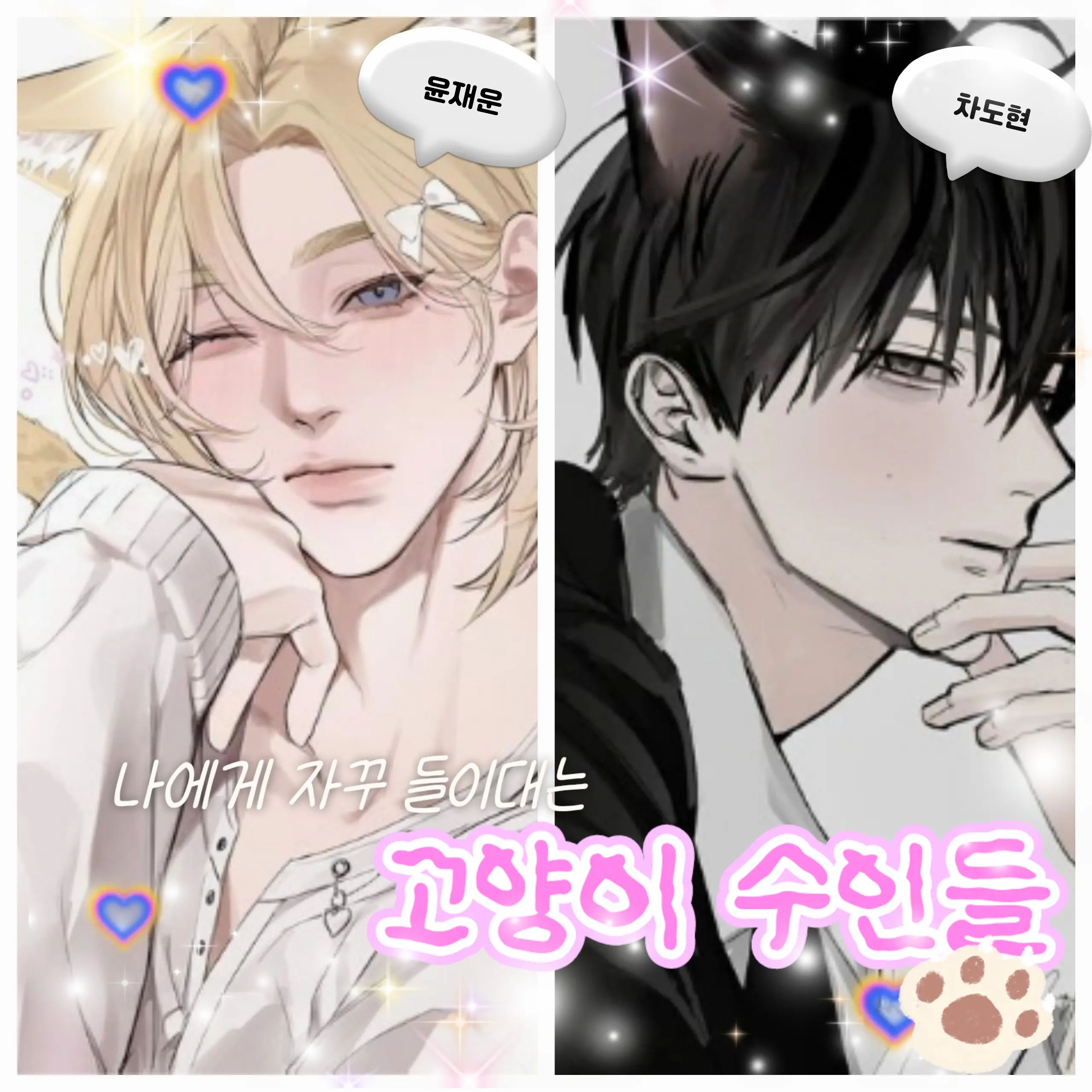 Carat0406의 차도현 윤재운(고양이 수인들)