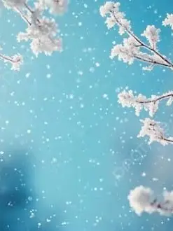 Dream_Garden의 크리스마스이븟날 불행이왔다