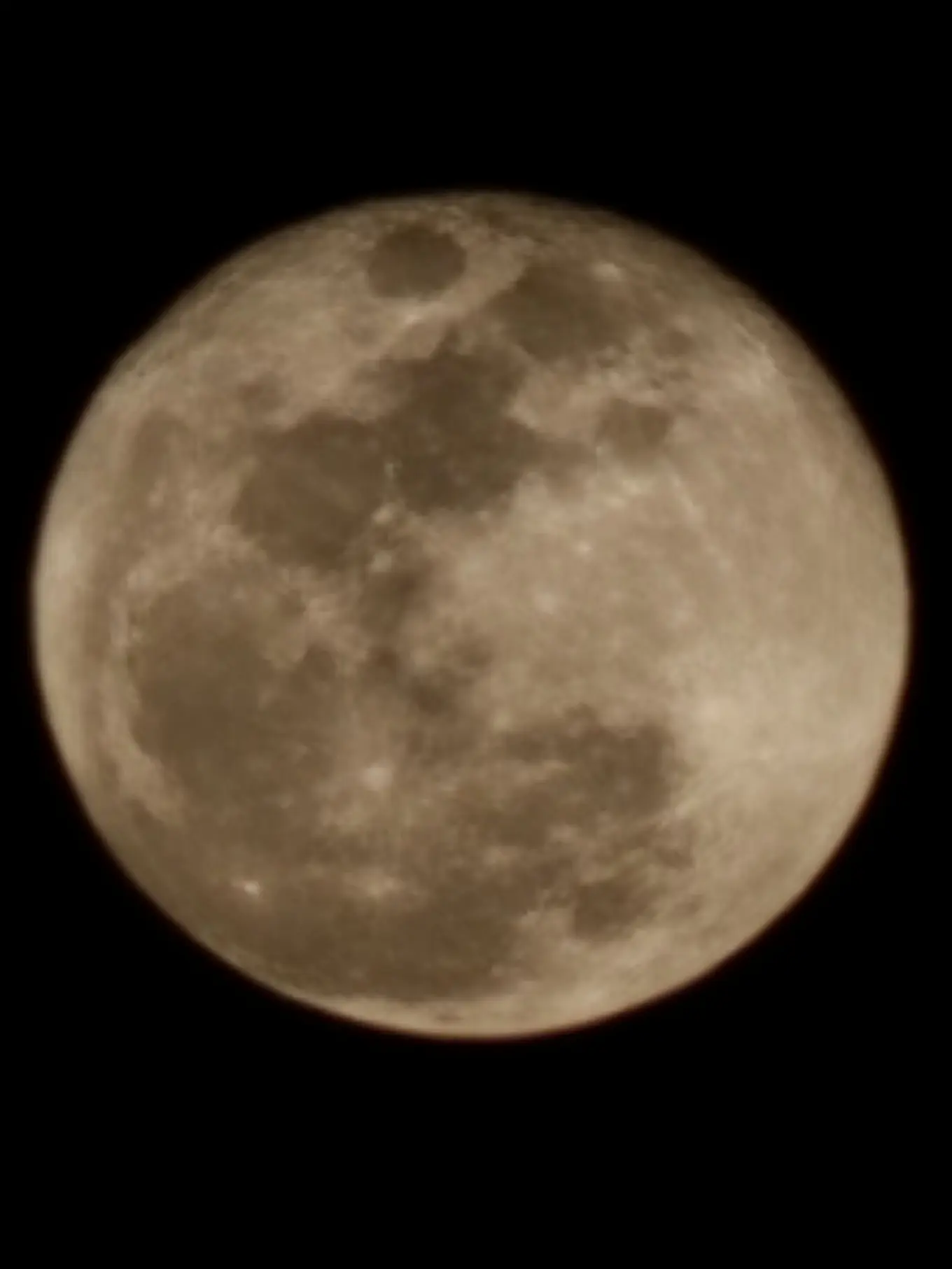 LavishIbis5169의 キヨパパ