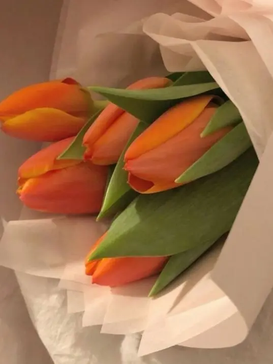 _55555_55555_의 좀 놀러좀 가보세요.....,