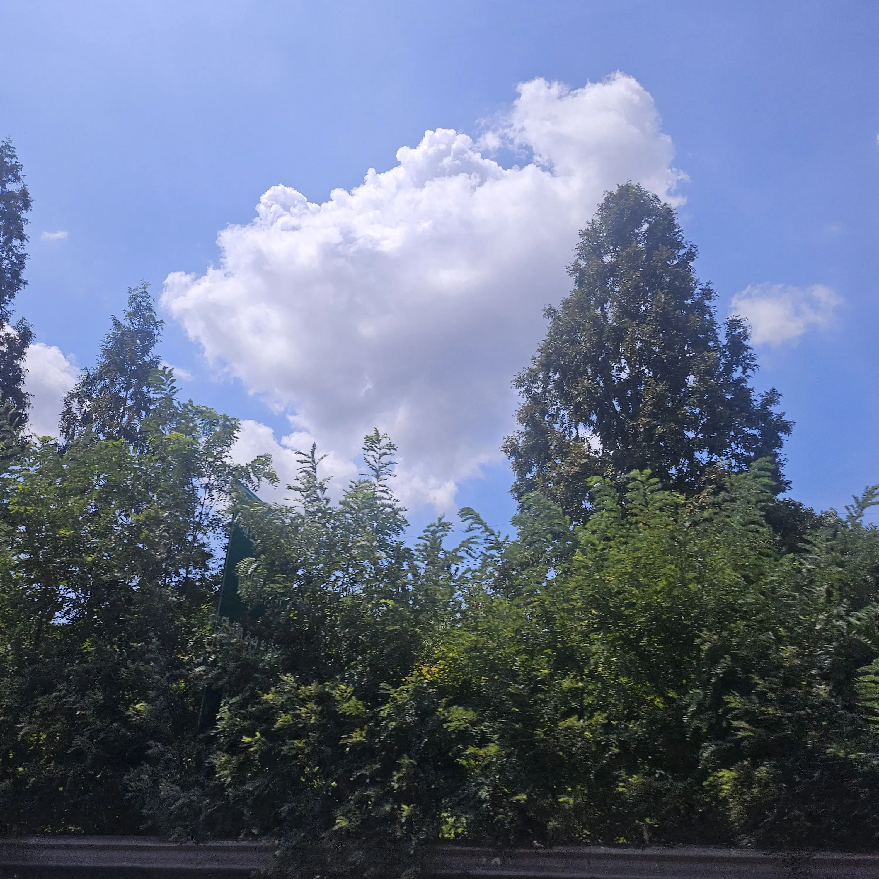 M_7060의 적군 왕자들의 포로로 잡혀왔다