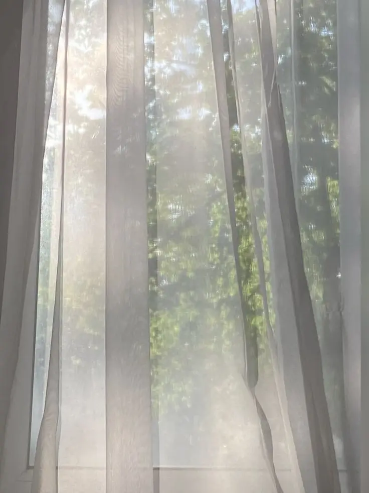 m_oids의 마음대로