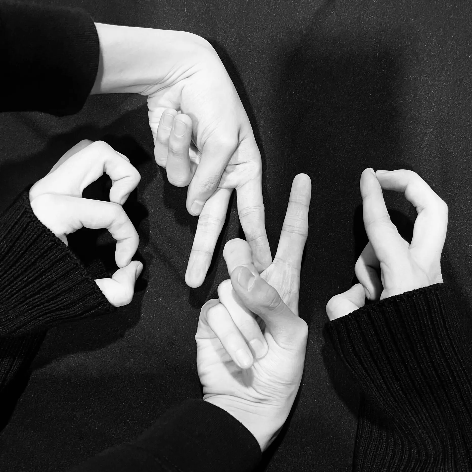 CurvedSnake3679의 명쟤현