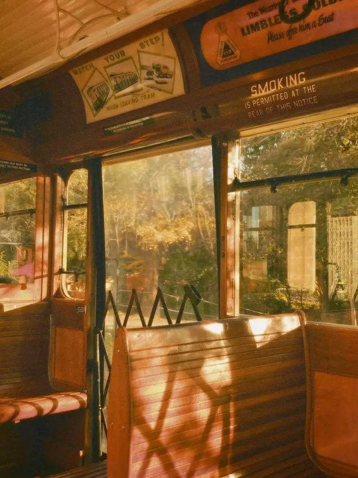 ChewyKishu의 3명의 친오빠들