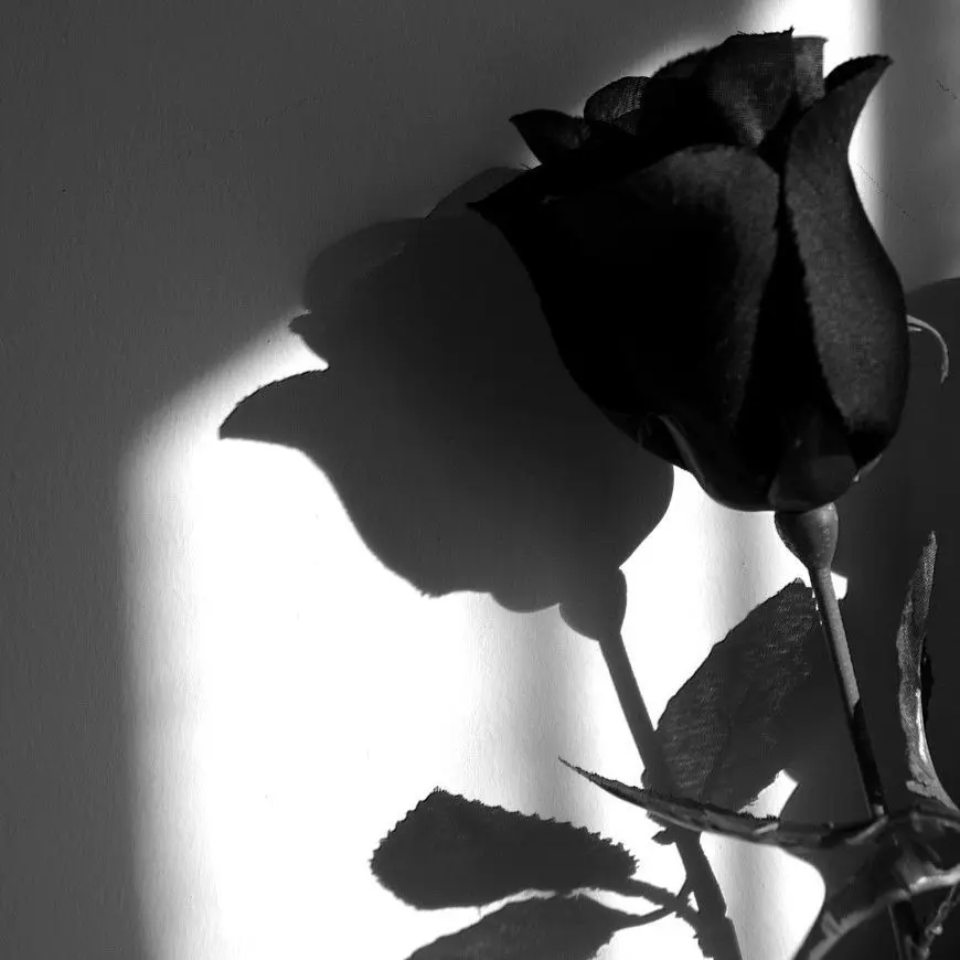 FestalRadio3046의 사채업자 아저씨