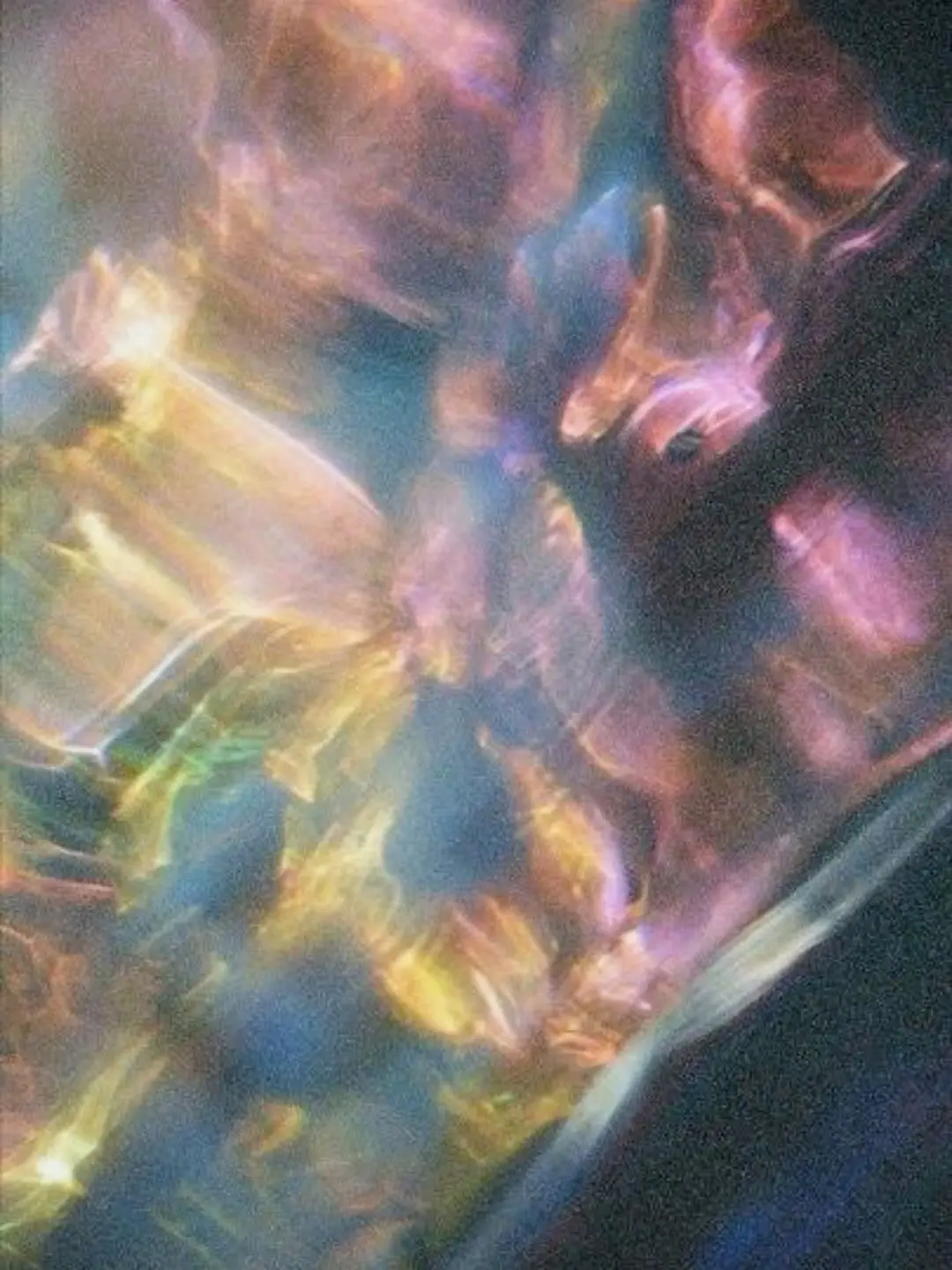 decadent.romantic의 破邪顯正