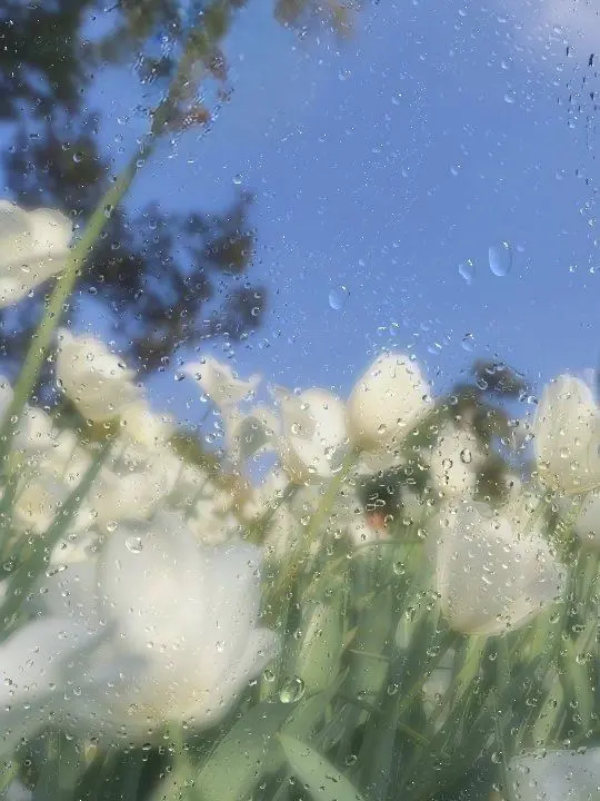 OOO_OOO_O의 特別な治療薬