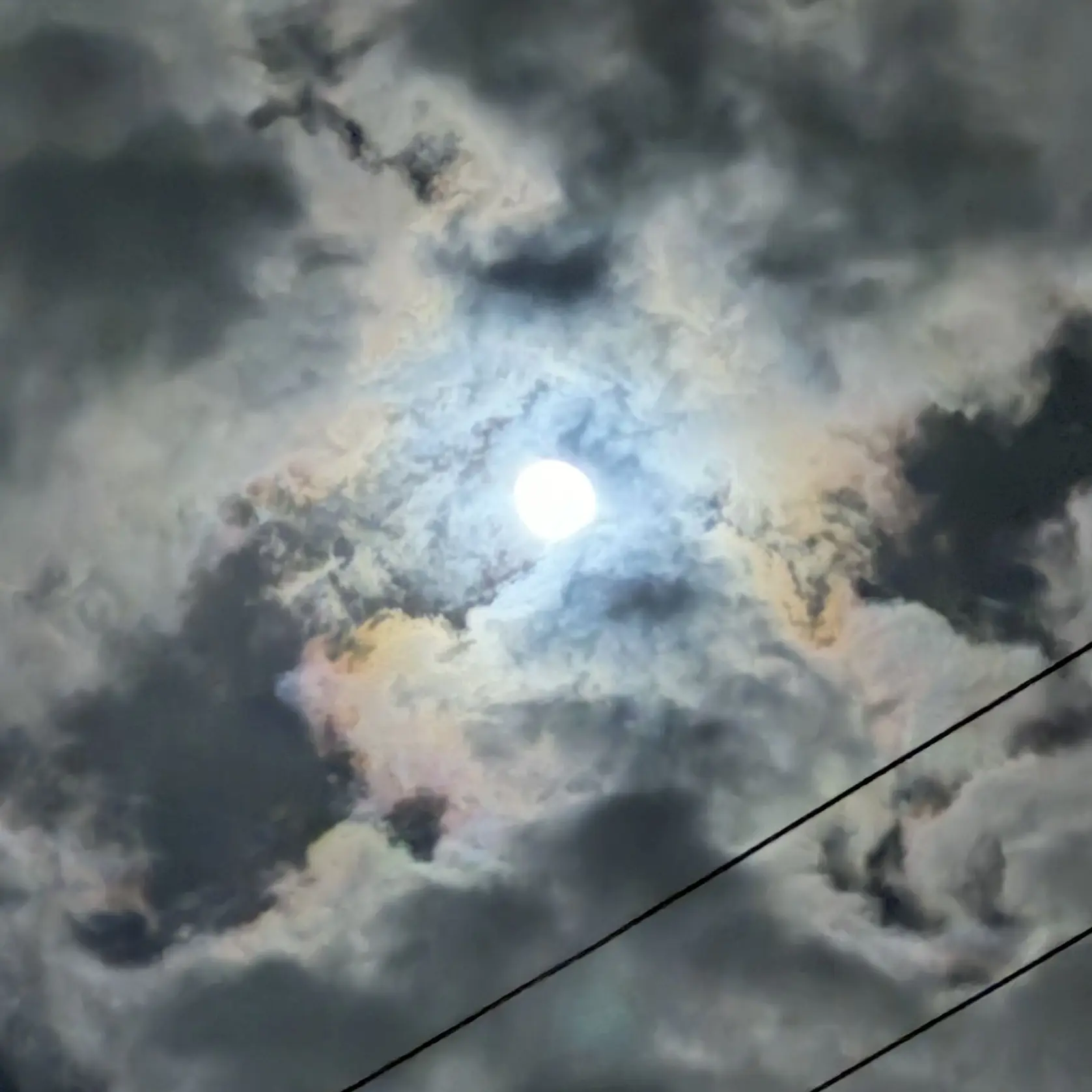 BoneCat8115의 姫鶴一文字