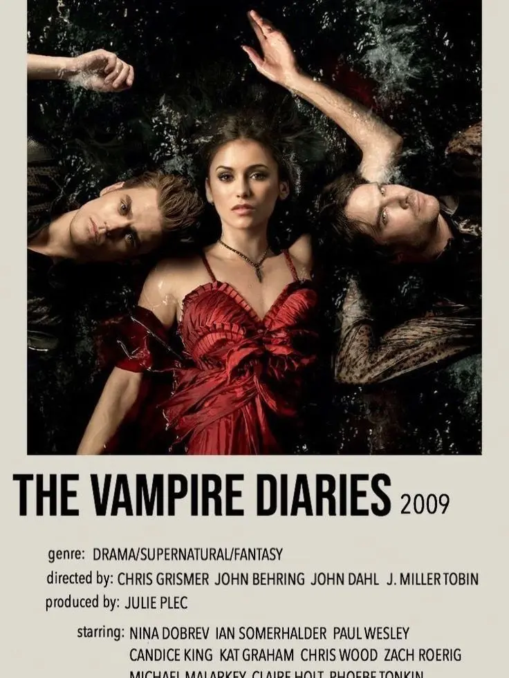 IloveLEGOs12133의 TVD| New Kid