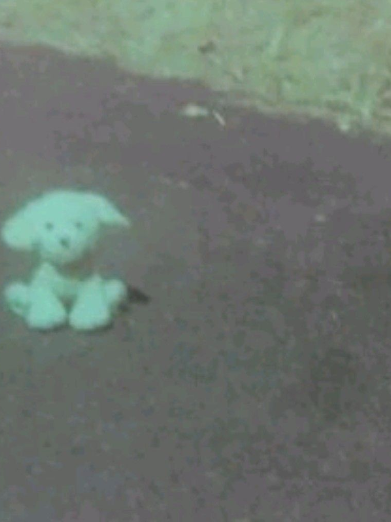 冬眠 대표 이미지
