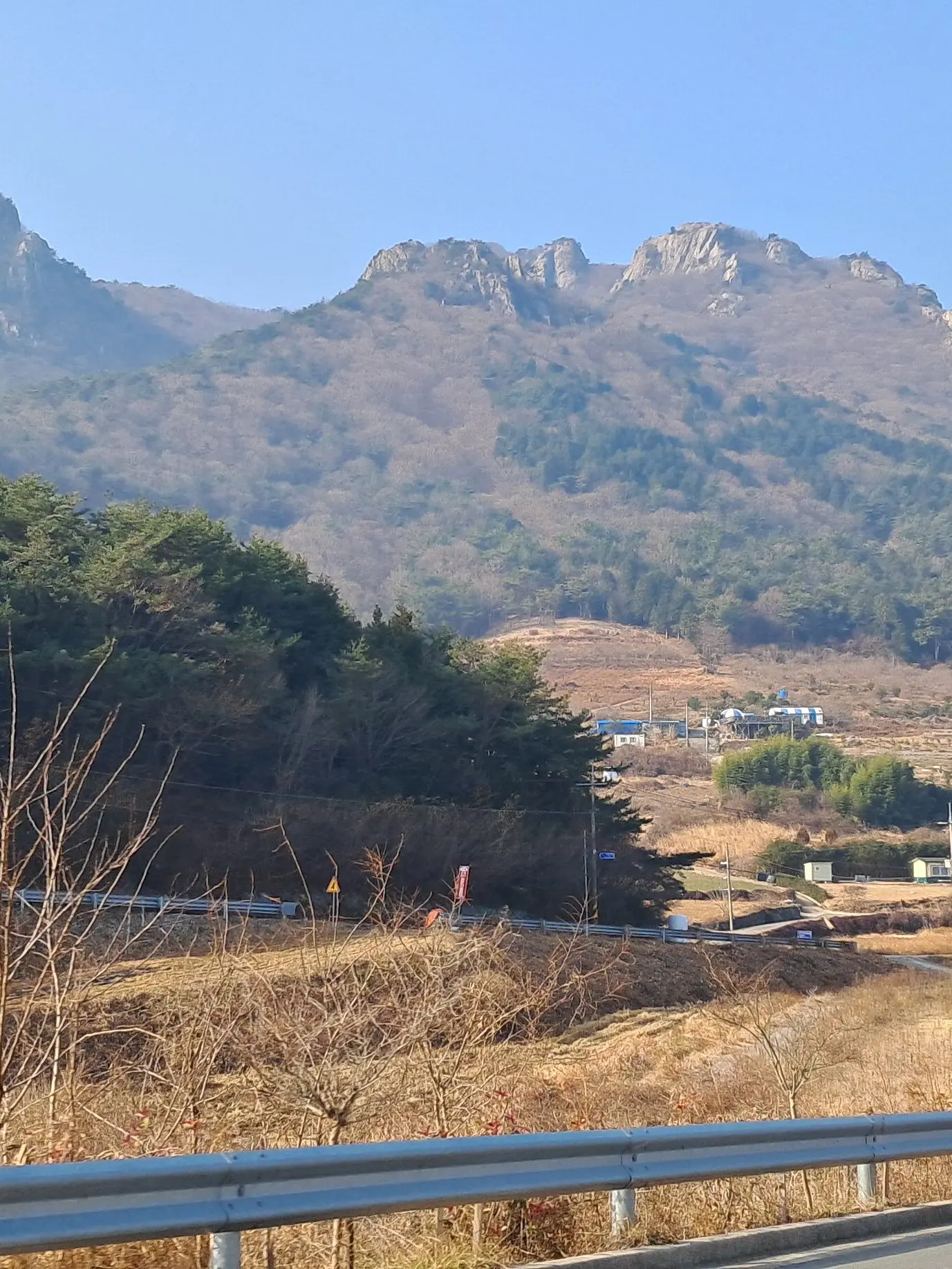 WhiteBeach0687의 혁명, 당신은 덕개님이예여