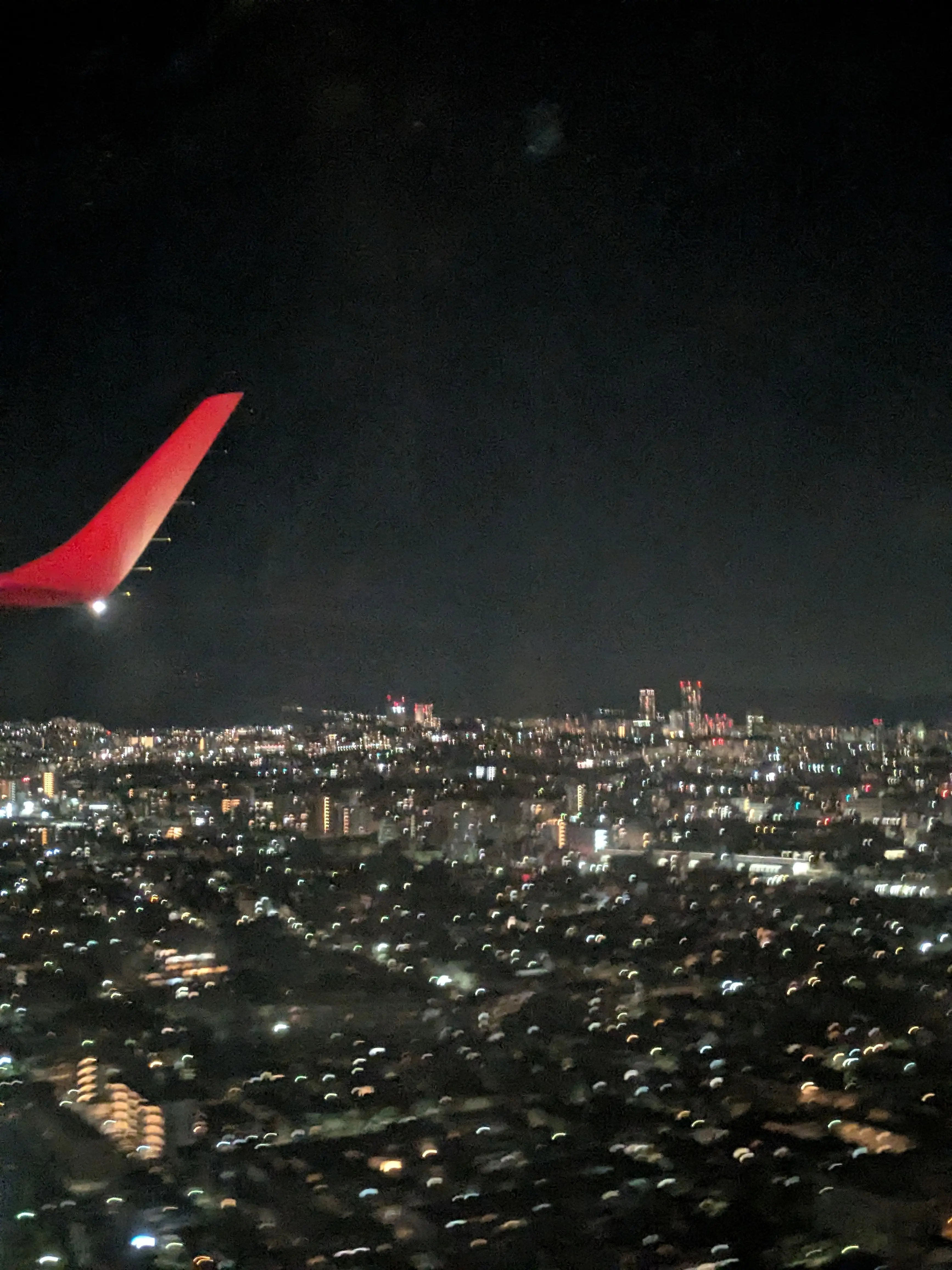 ScaredGoat3825의 自分用