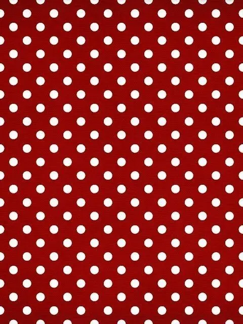 admjjptwp의 噂の曽野くん