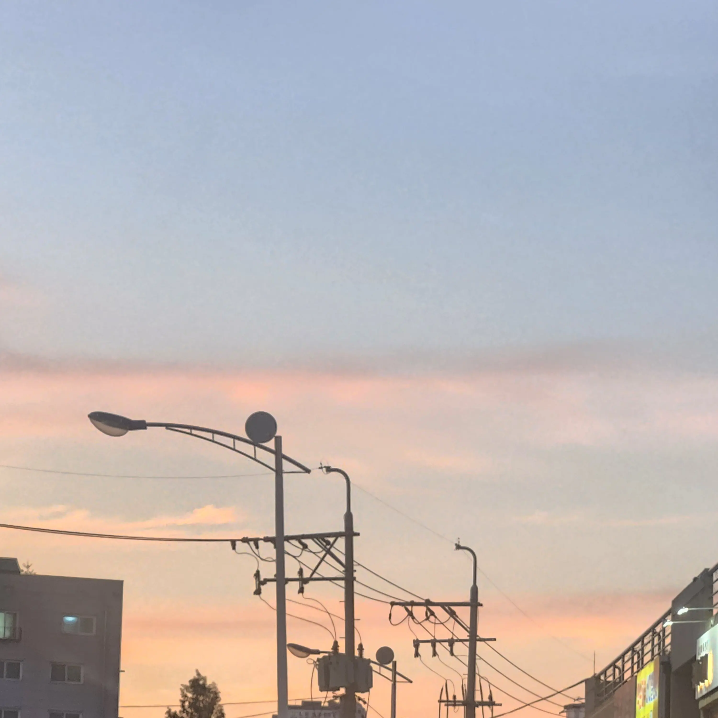 IronicAlbum4092의 진짜 개인용 이니까 하지마세요 제발