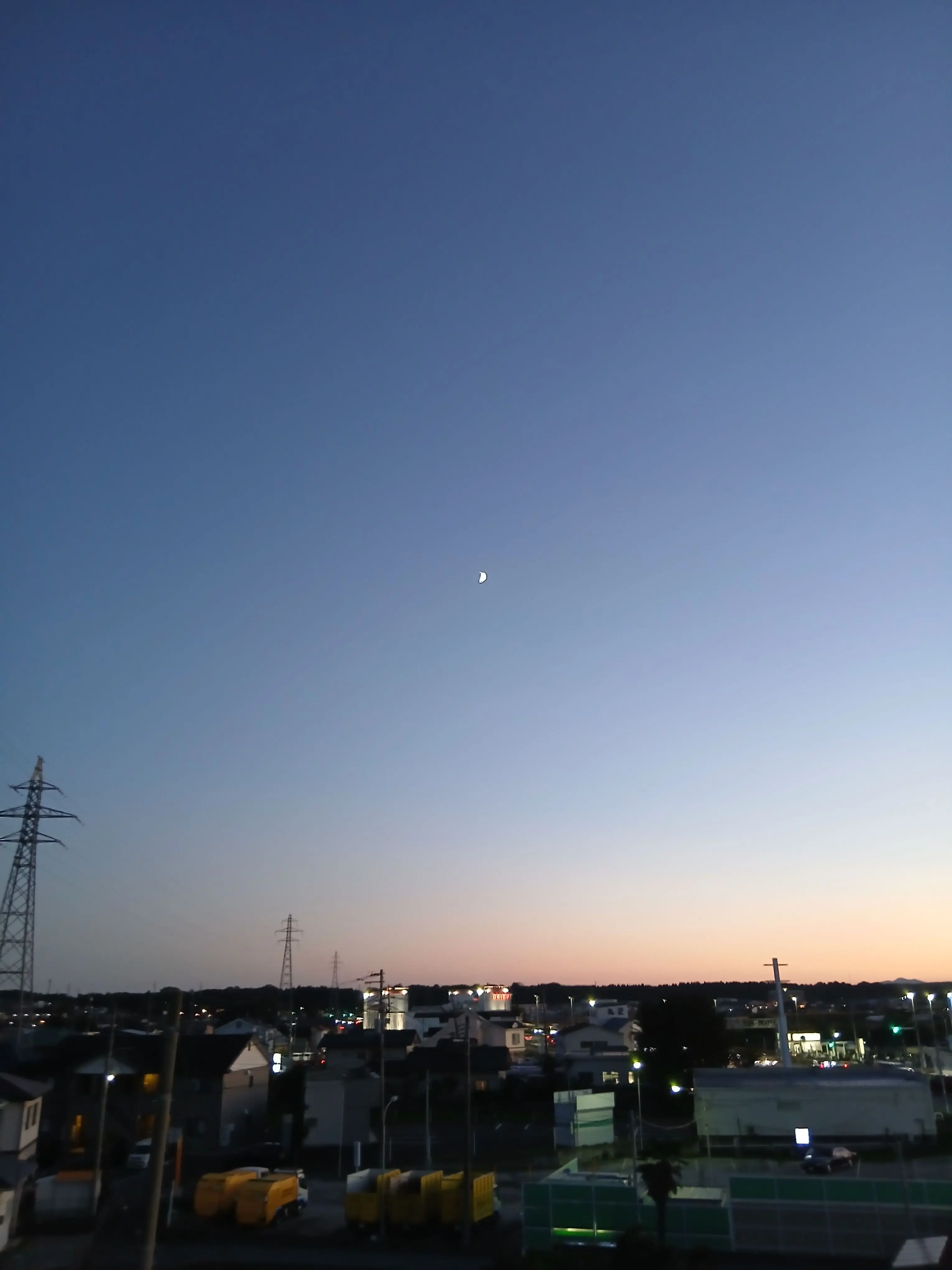 muyu0822의 과보호 토끼 씨와 작은 앨리스