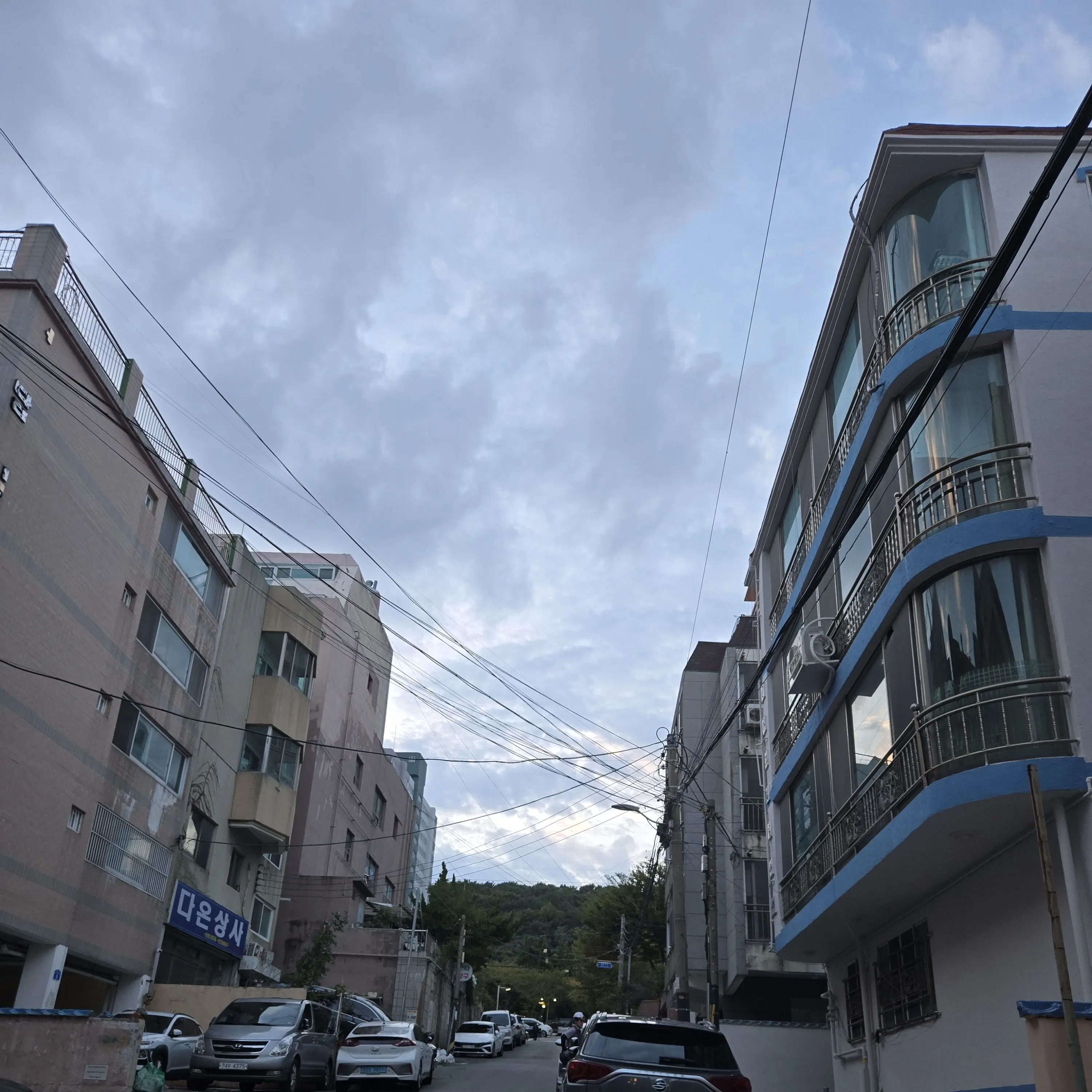 YUJAY_2001.com의 싸이코드 오메가 버스