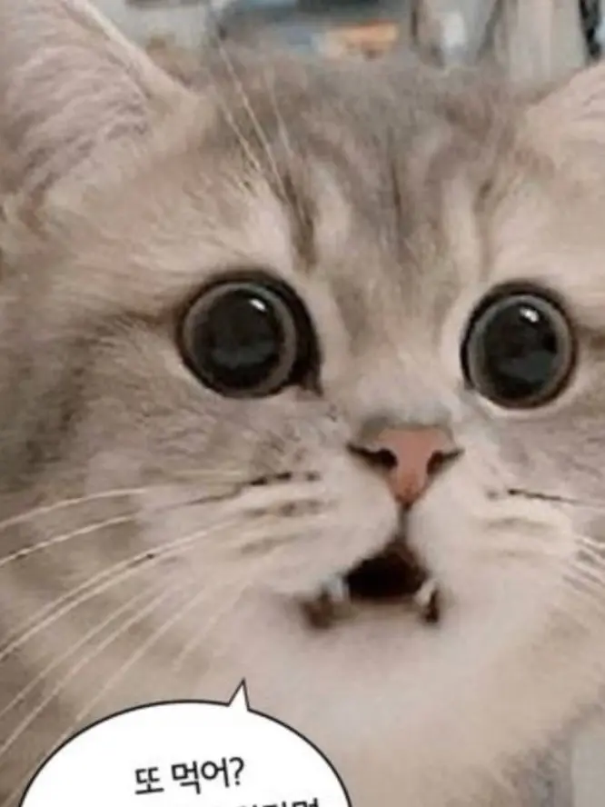 ThickBarb9863의 체육시간에 다쳐 보건실에 간 유저