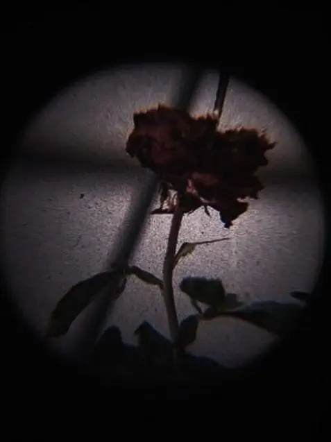 Drama_0910의 유지민