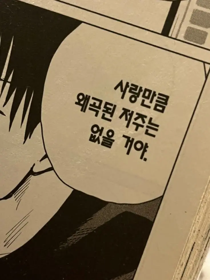 VainBrug2921의 사랑만큼 왜곡된 저주는 없을거야.