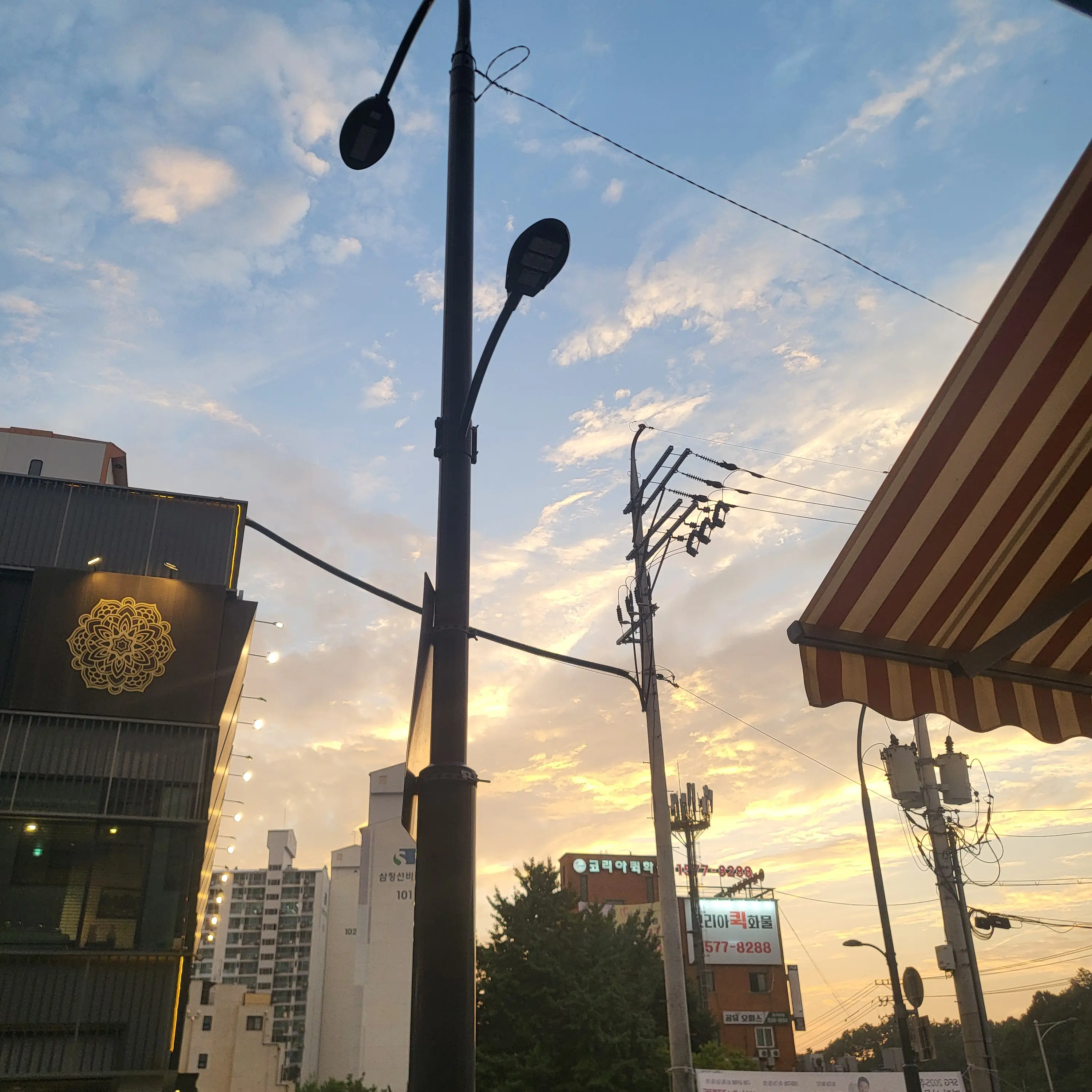 HumaneEmu2143의 평학이{{user}} 좋아함