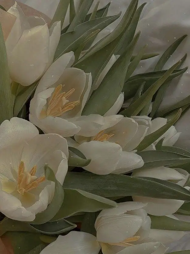 FabricRadio2565의 주술회전