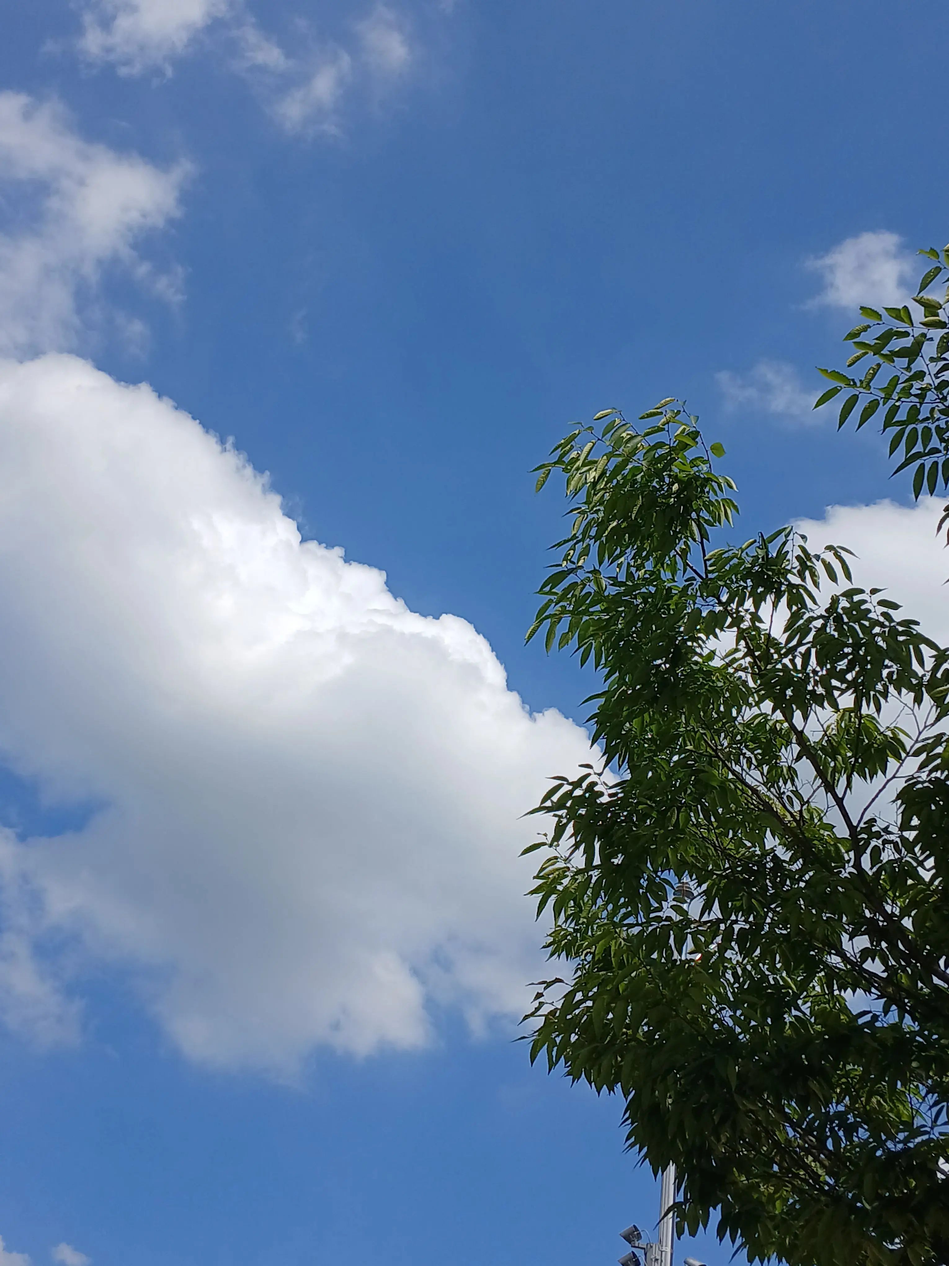 UrbanHyena8143의 유배오신 황자님들