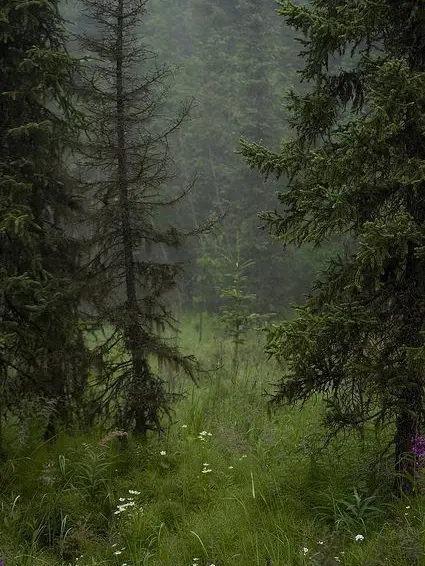 onley_love_Lowell의 야간 산장