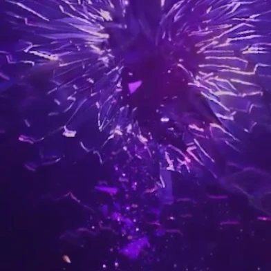 失敗作。