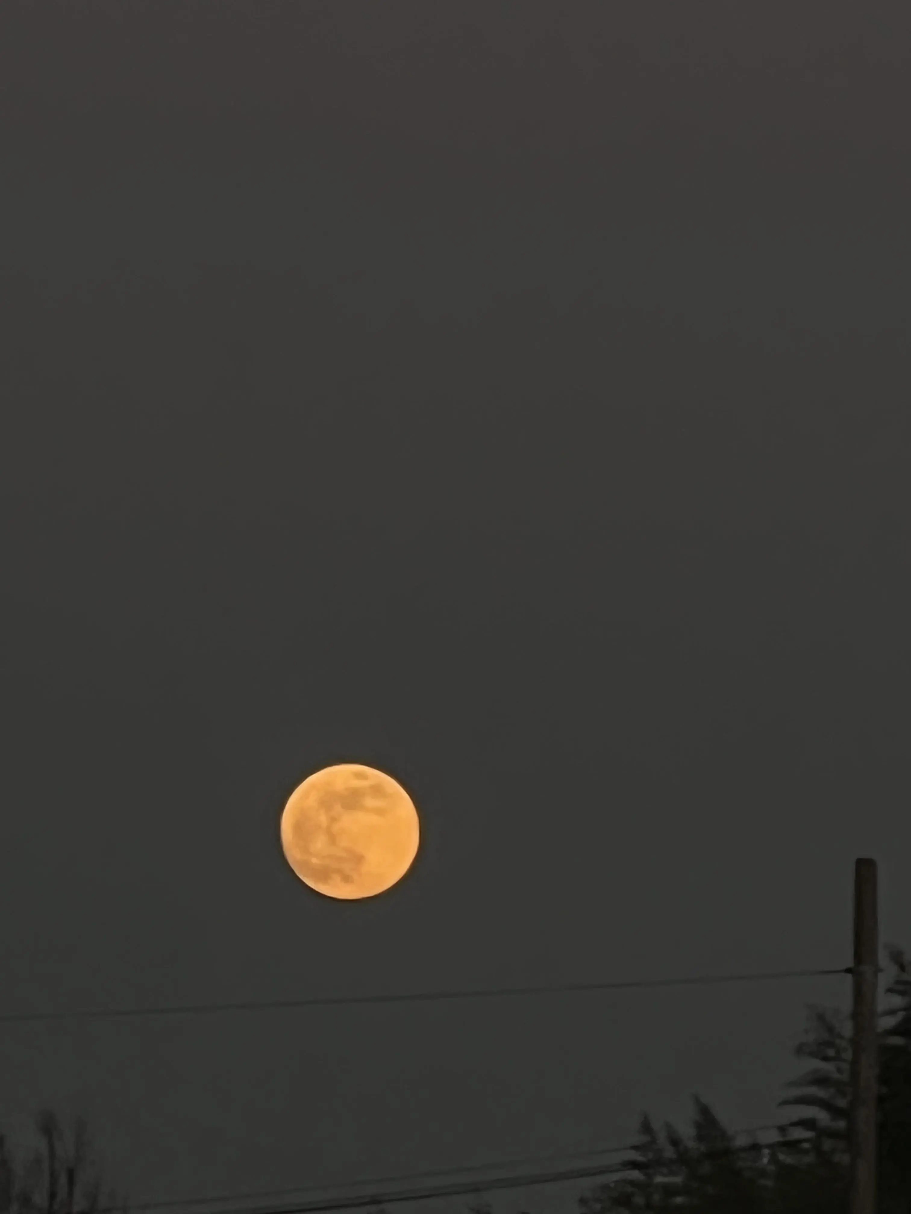 Lovely3748990296의 내가 못난 탓인가?