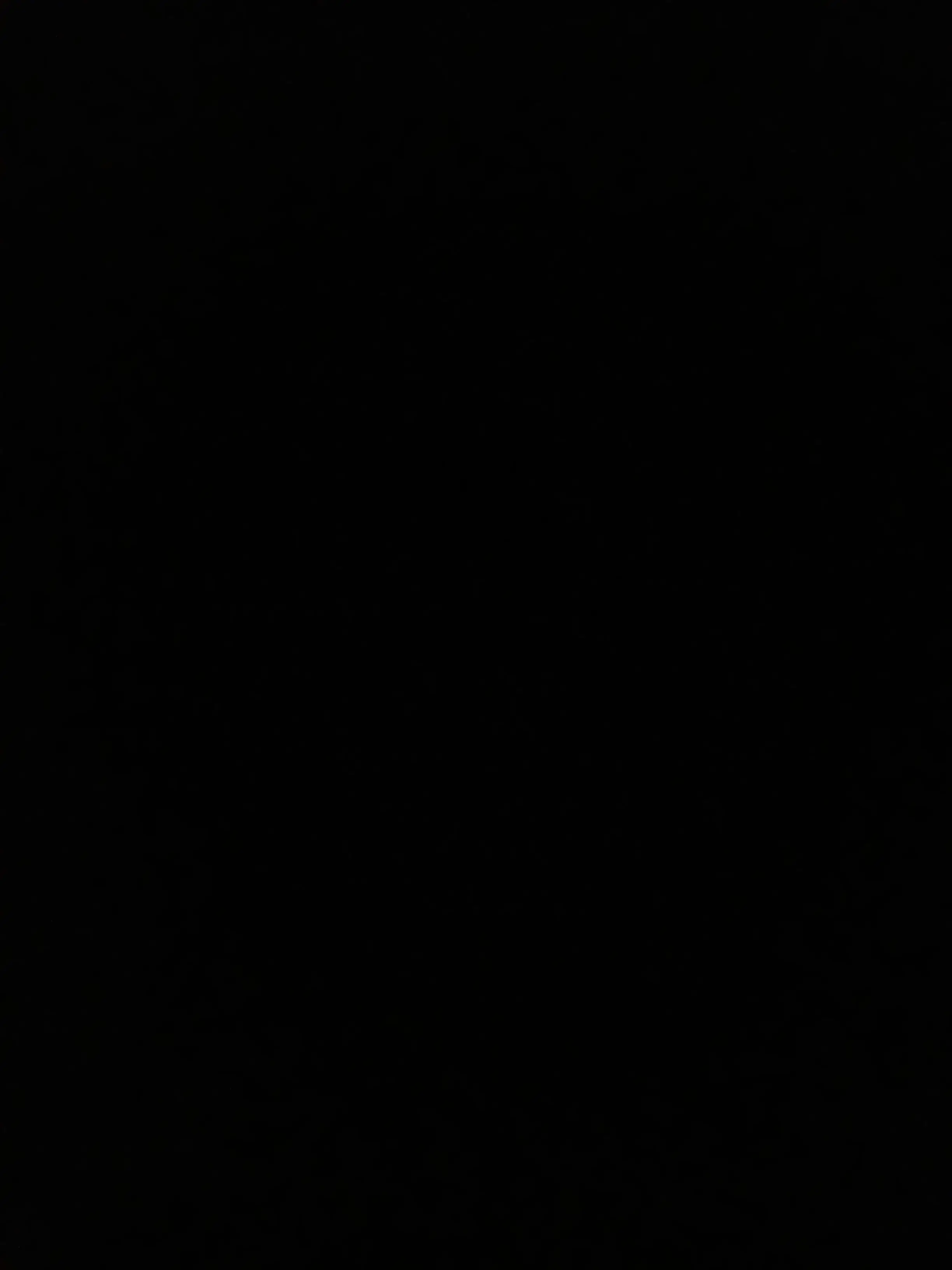 tunamayo_0219의 阪神淡路大震災