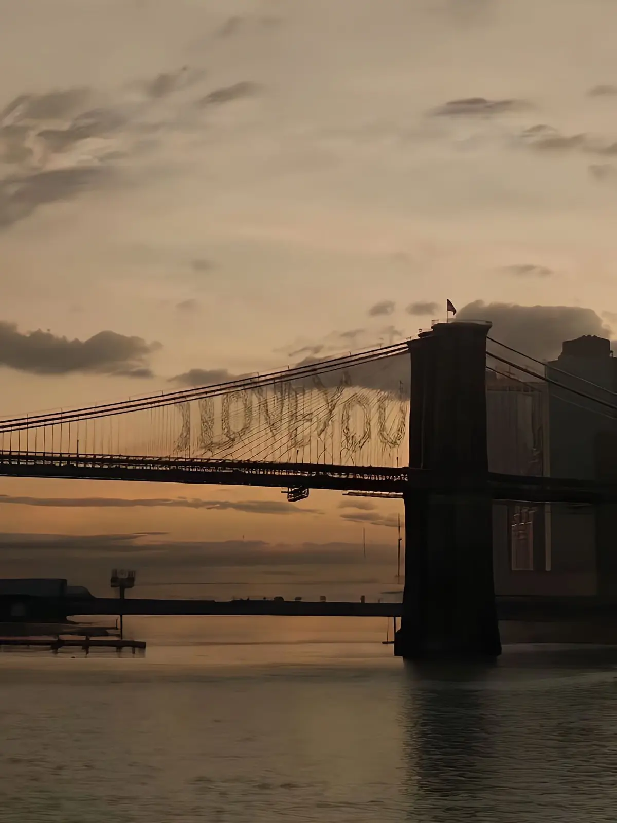 FieryKoala5709의 거미줄에 걸린 사랑이란