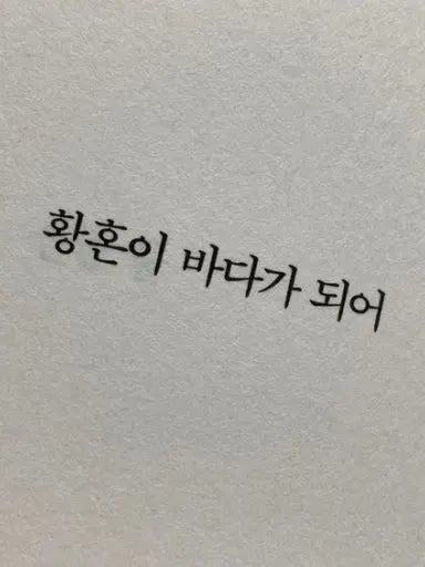 Yoooooon06의 서련 [誓戀]