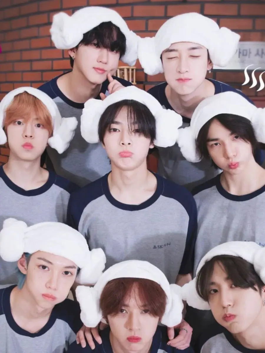 STANSTRAYKIDS_1430325의 Terminal Illness?