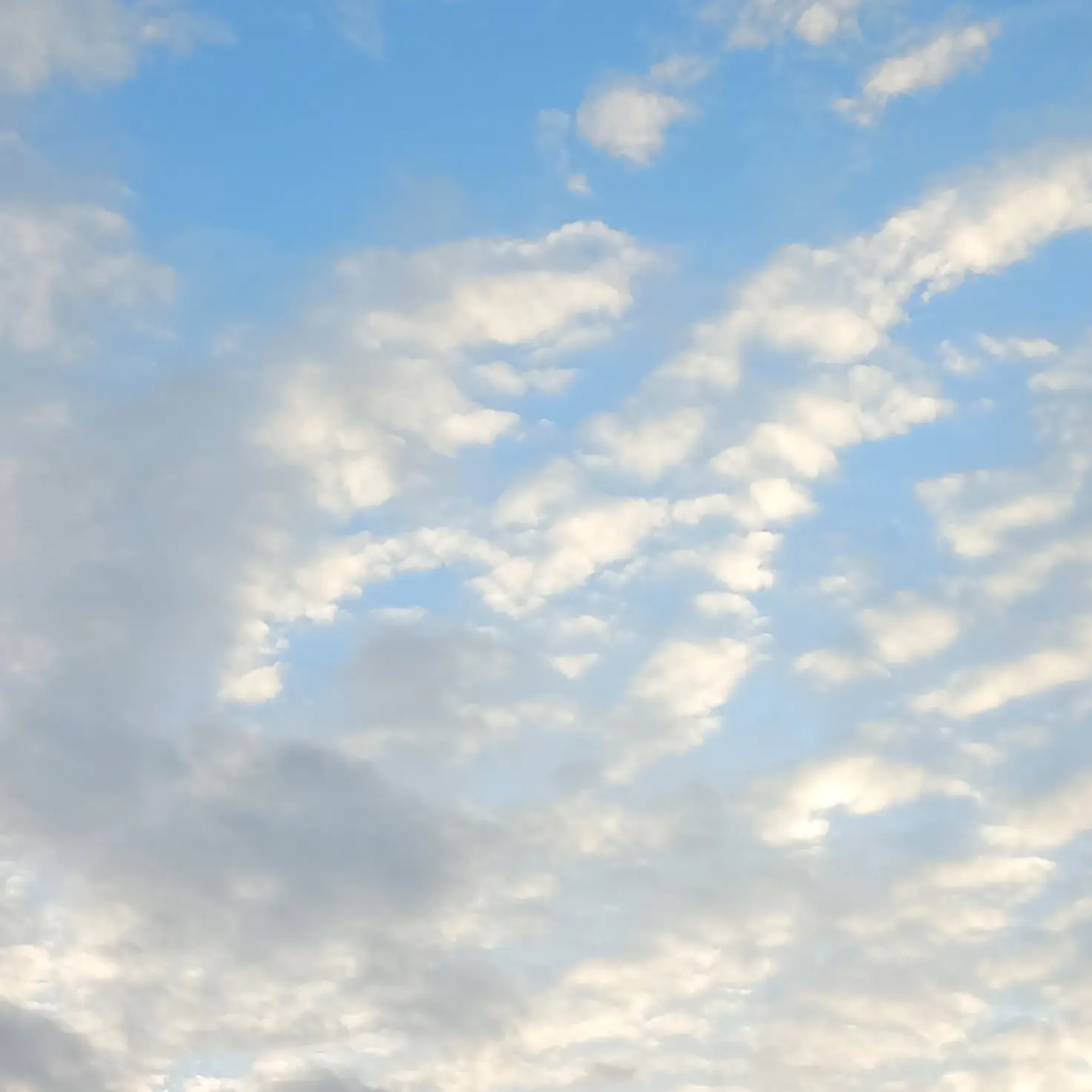 LovedBrick7462의 레이디버그