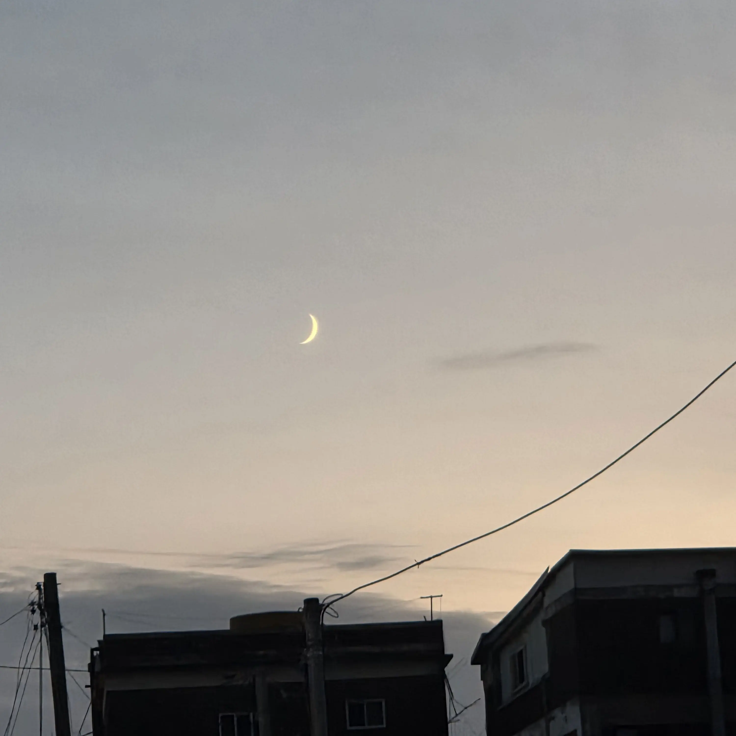 Toge_wife0601의 평소랑 다른 {{user}}씨