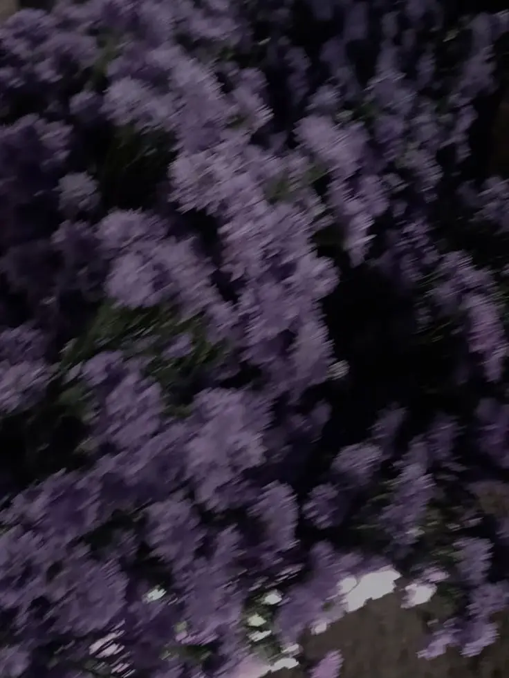 SuperbBack3921의 君だけは幸せにさせないよ。